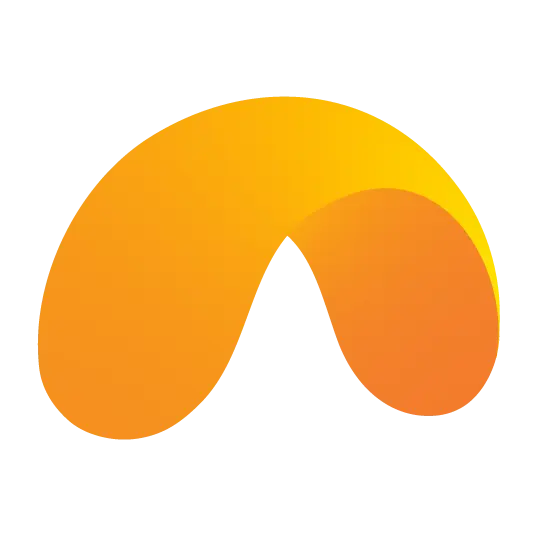 APN Logo
